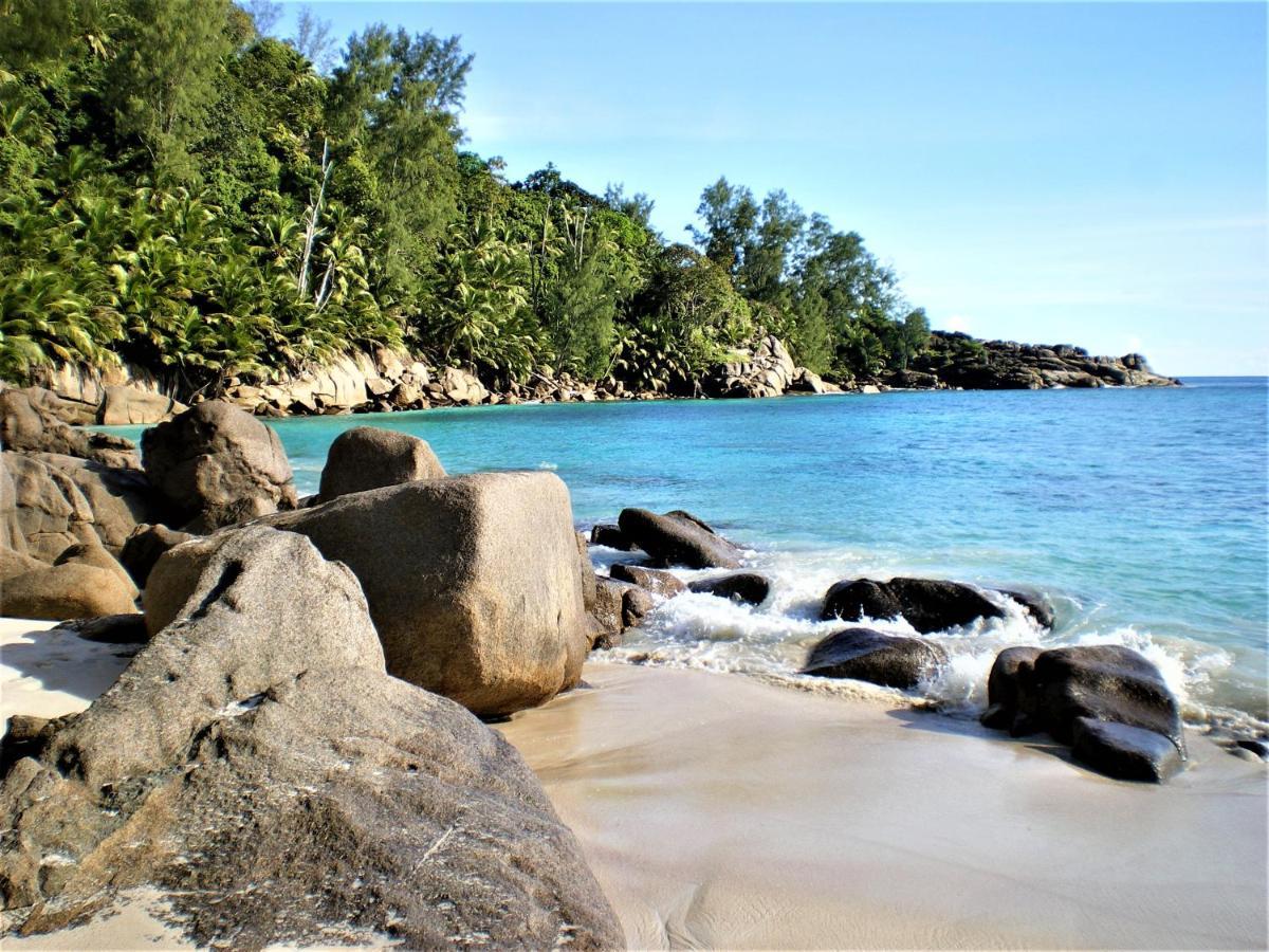 Seychelles Yellow Petals Anse Boileau Exterior photo