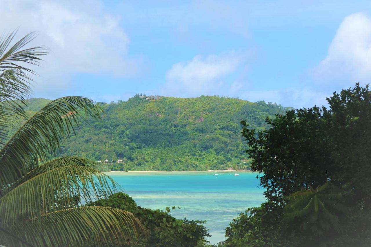 Seychelles Yellow Petals Anse Boileau Exterior photo
