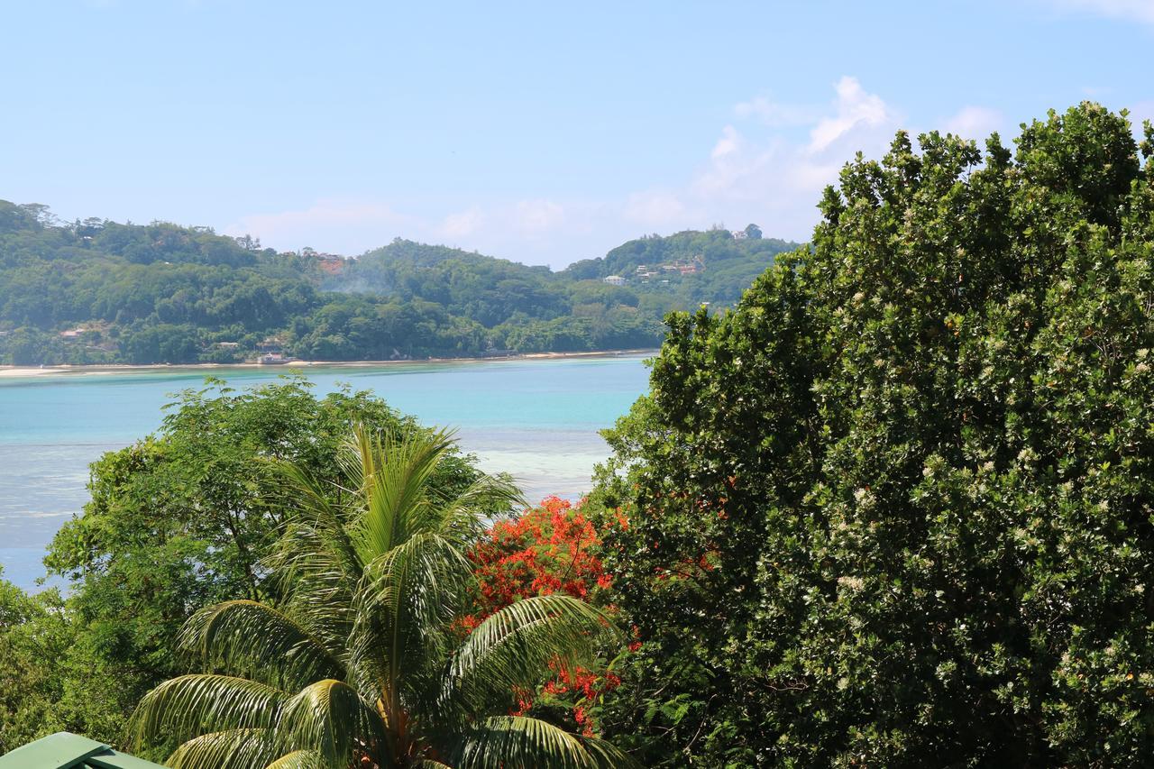 Seychelles Yellow Petals Anse Boileau Exterior photo